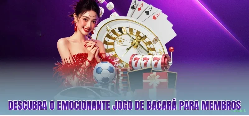 Página oficial da timbet no Facebook